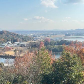 東屋から。
ﾌﾗﾜｰｾﾝﾀｰの温室が見えます。
どうやら繋がってるぽい。