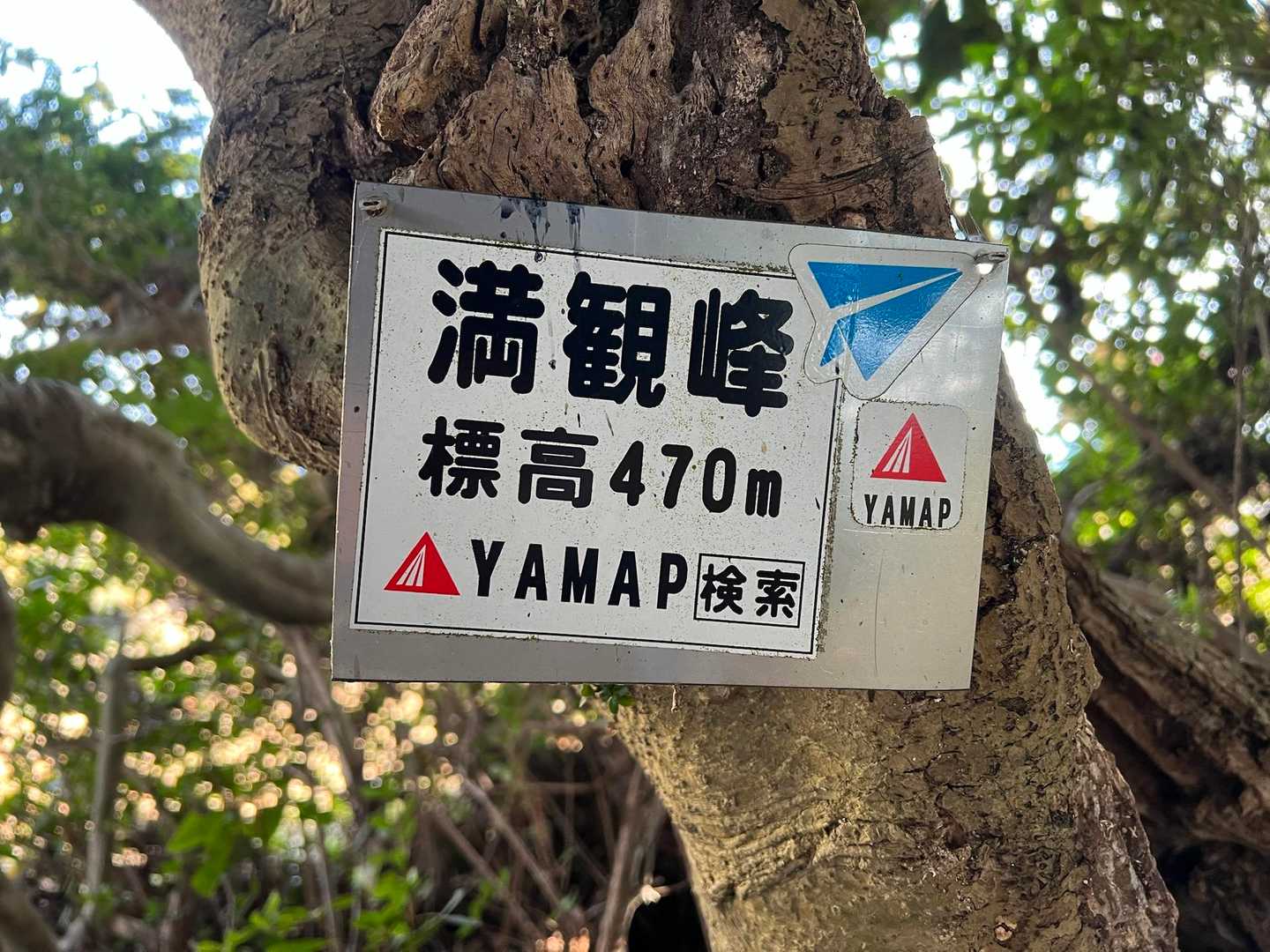 鞍掛峠-満観峰-大ベラ山-高草山 周回コースの写真