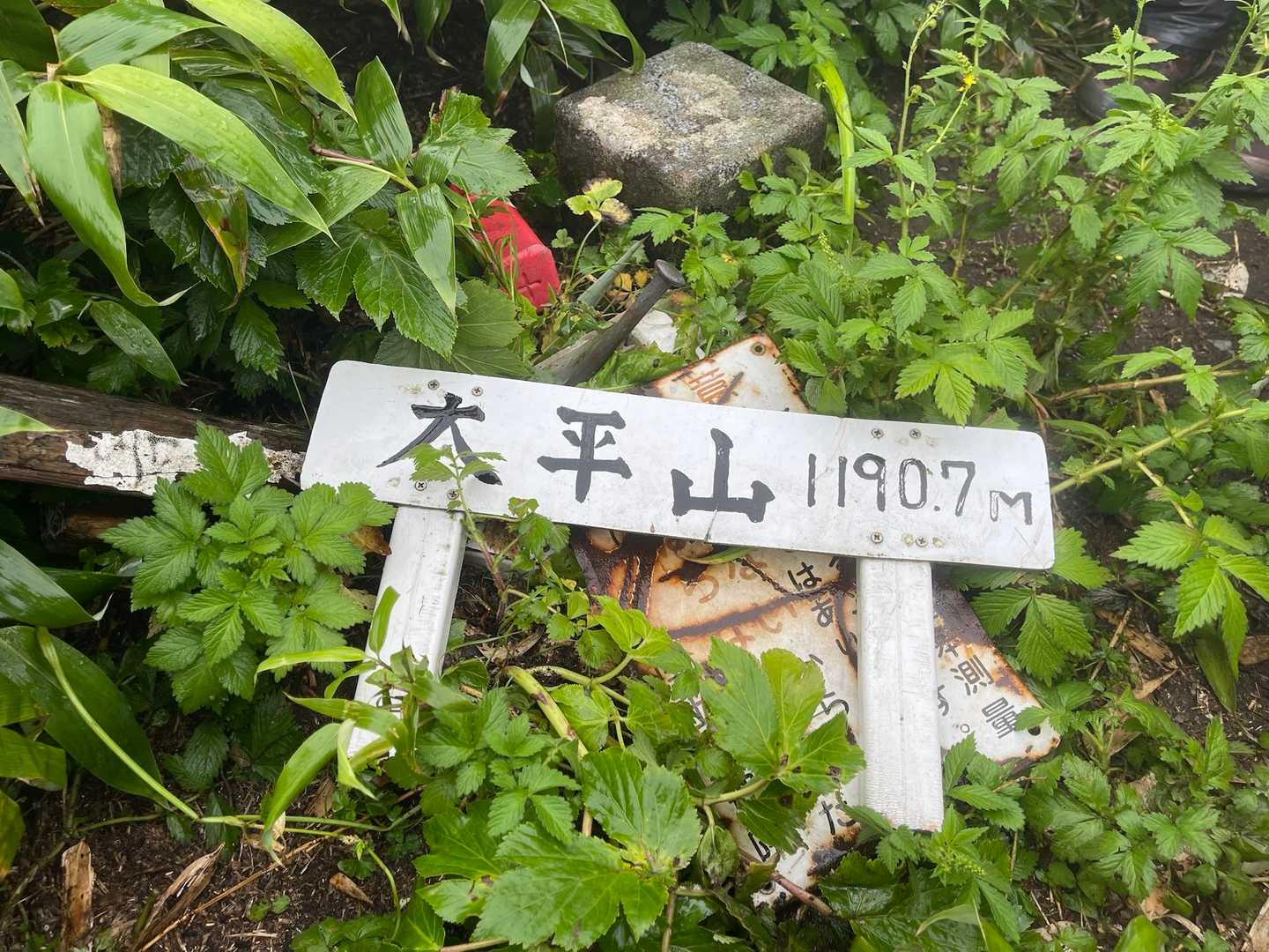 一等三角点　山頂は大人4人立てるくらい。達成感半端ない、合流した二人と喜びを分かち合う