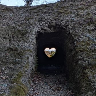 猫丁場😼
このハート♥ホッコリ☺️