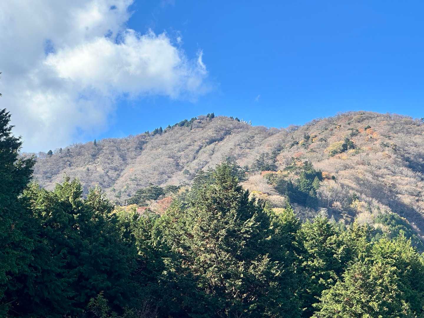 さっきまでいた大山