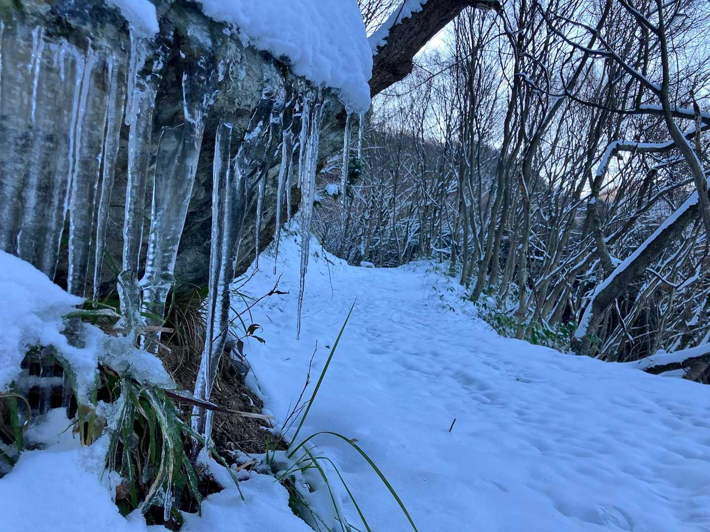 氷点下10℃近い