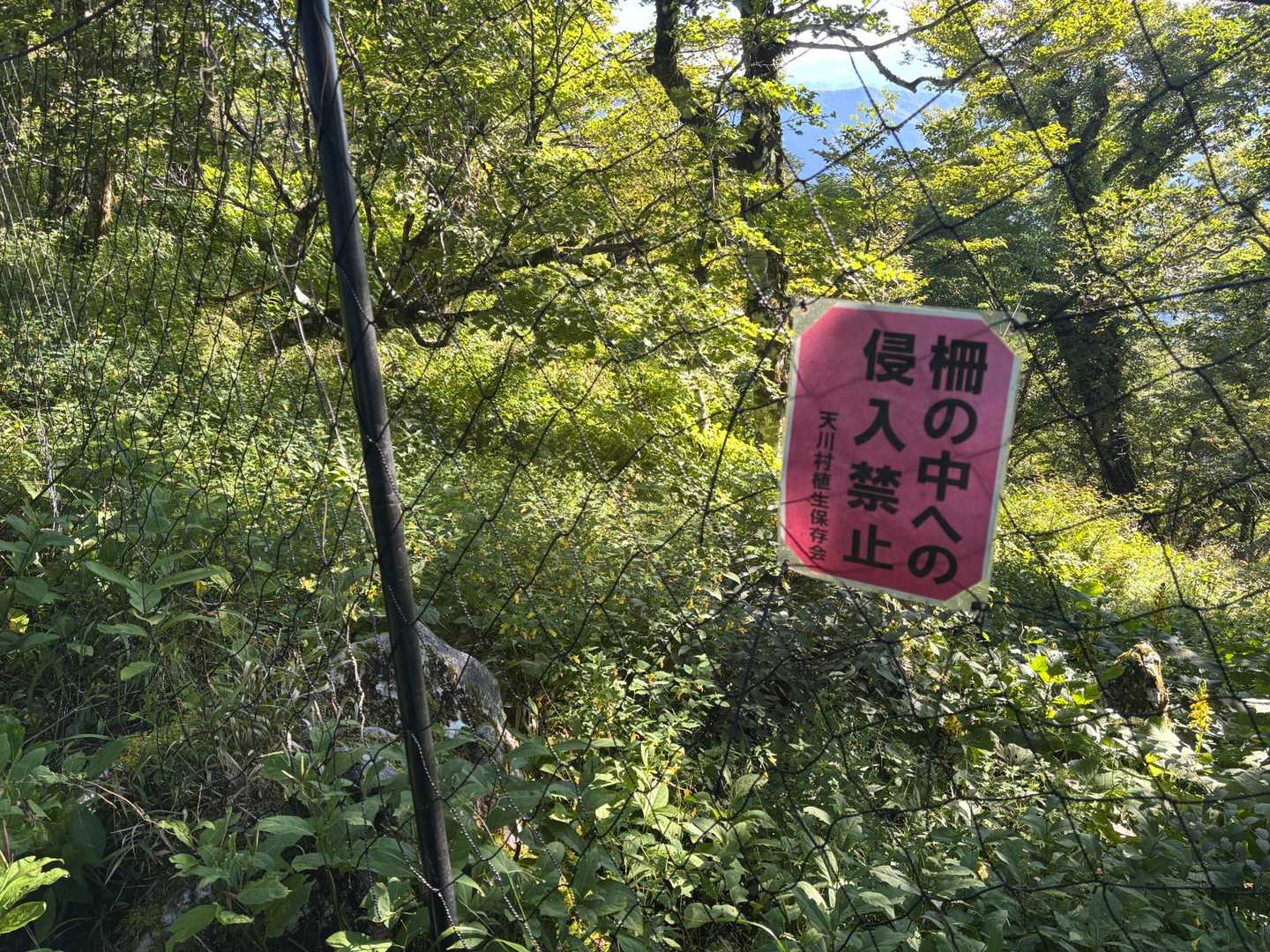 お花畑🌸🌼
柵の中は立入禁止🚧🙅