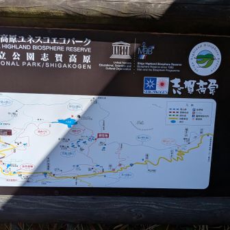 色々見どころがあって楽しそうです(*^^*)💕