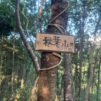 意外に難所。足元が滑る。