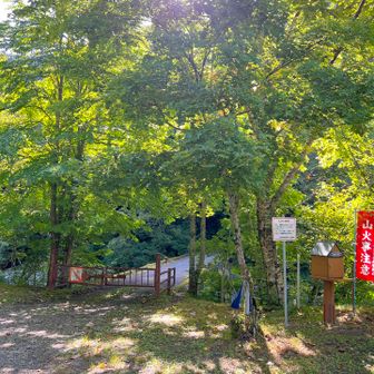 連投で正直疲れが溜まってましたが、気合いを入れて登山開始！日帰りではないため、急がずゆっくり歩きます☺