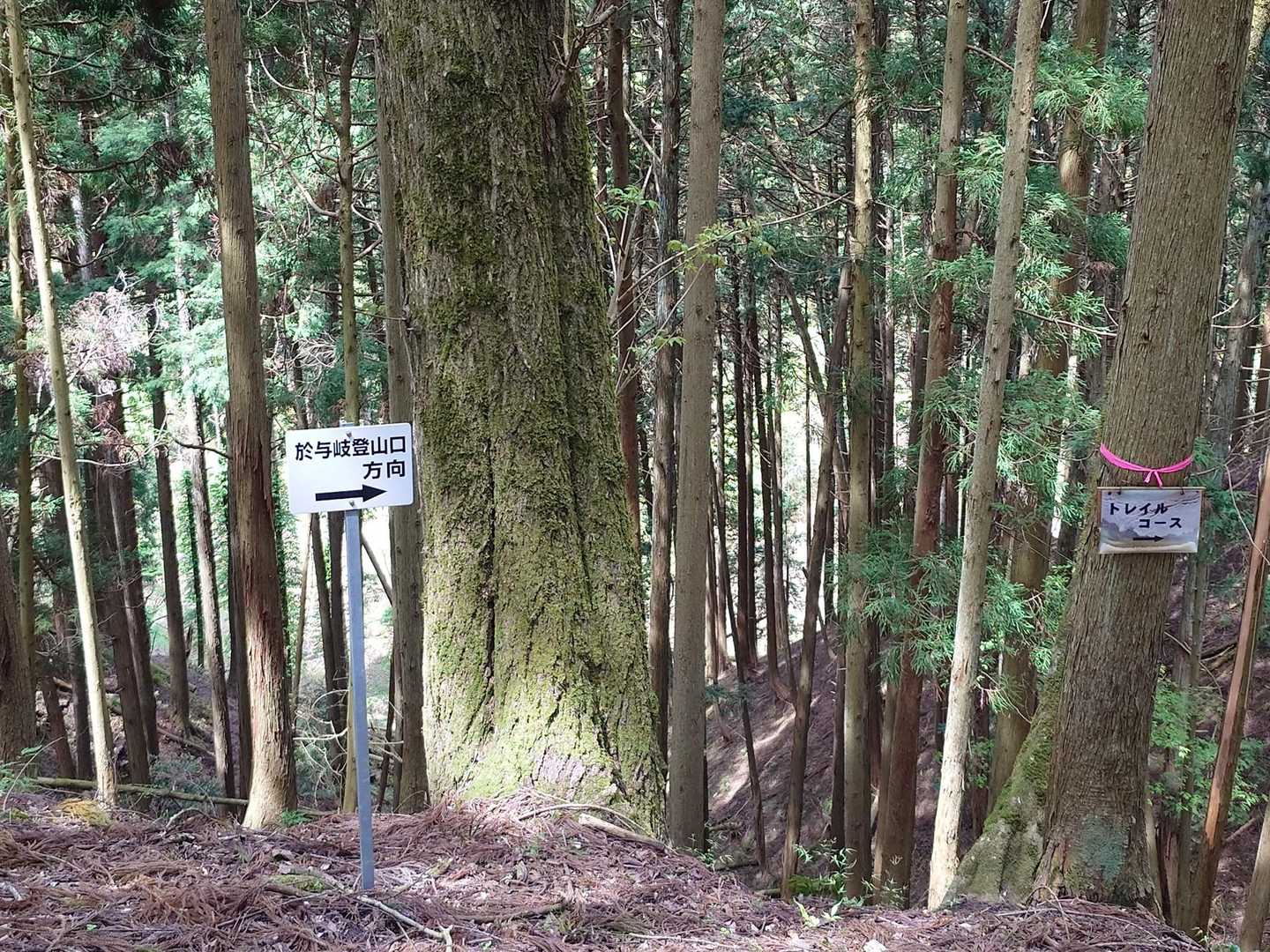 もうすぐ登山口です😊