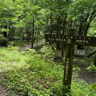 林道歩きで霧積温泉へ戻る