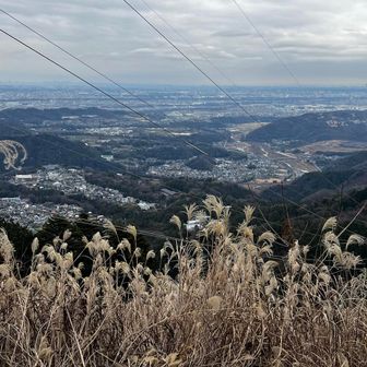 下山途中のいい景色