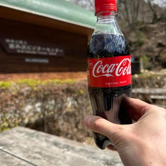 下山。11:40のバスだからゆっくりしよう、と思って時刻表見たら10:50でした(笑)
次は14:40なので3時間半待つことに、、、
車で帰って行く人をウサギのようなウルウルした眼で見ていましたが、流石に気づかれなかったか😏

ちなみに14:40のバスは10名くらいで混んでいませんでしたが、おそらく畦ヶ丸下山組の方が大滝橋で乗られて立ち状態でした