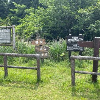 ここから登山道に入ります