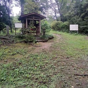 大日如来像がある七国山