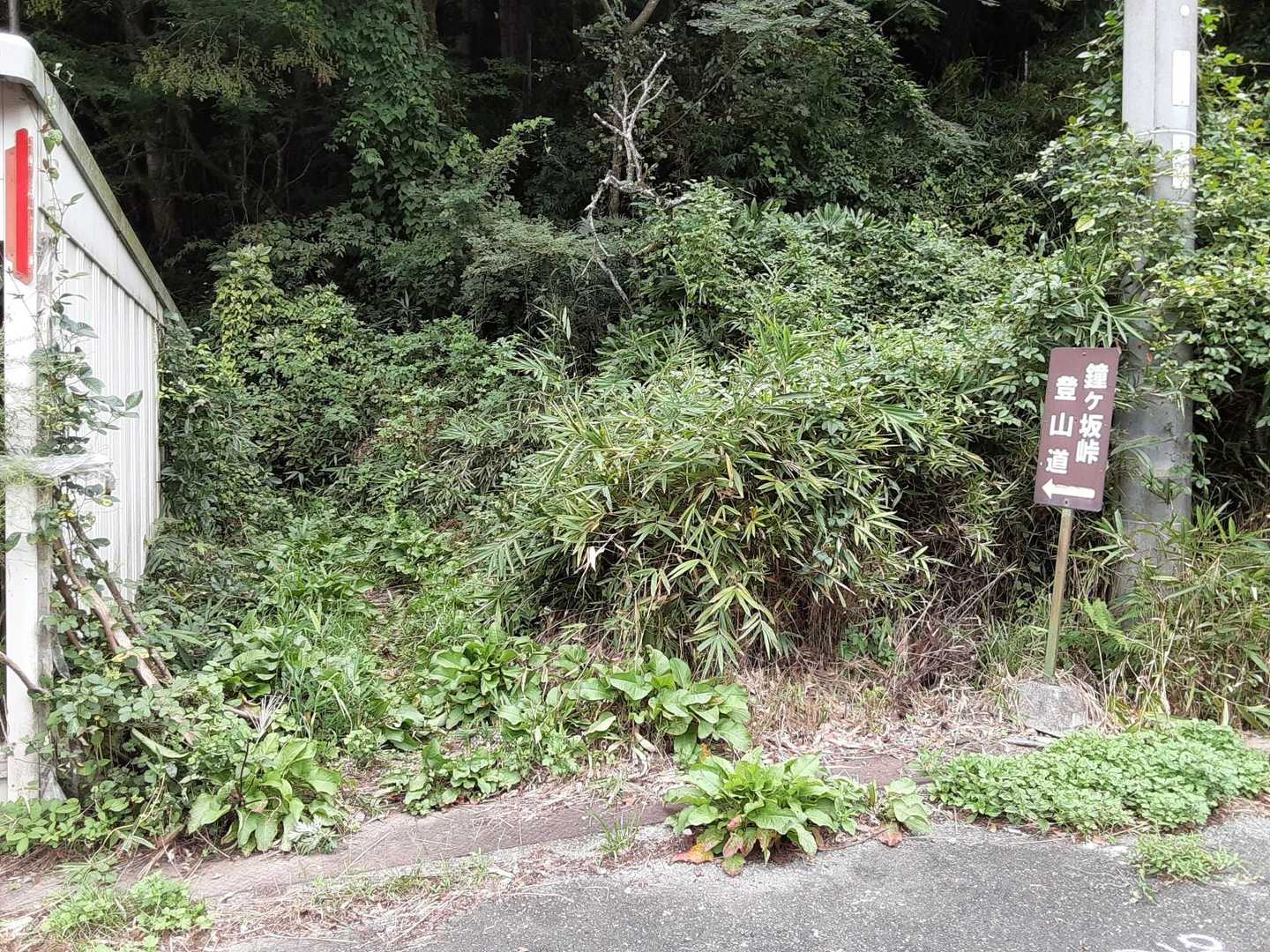 ここから出てきました。