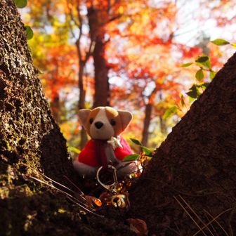 これもトップ画像の候補💕
いつも、どれにするか一番悩み、時間をかけます
