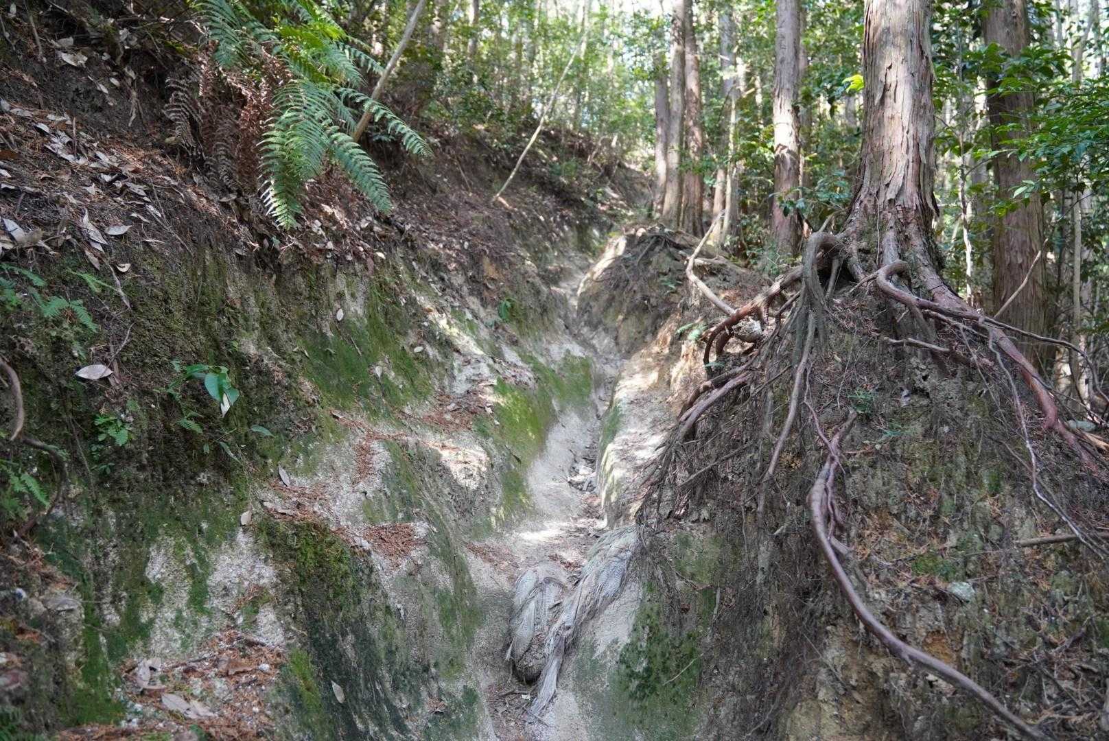 土器山の隣の山なので似てる所が有る。