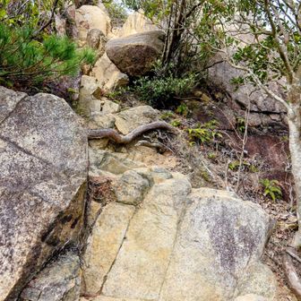 西峰へ最後の壁🧱脚が上がらん😭