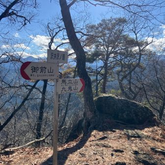 沢井沢ノ頭に着きました。
さすがに九鬼山までは行きませんが、馬立山はここから20分ほどらしいので、ちょっとピークを踏みにピストンします。
ところで九鬼山はYAMAPや山と高原地図では「くきやま」ですが、こちらの標識では「くきさん」ですね