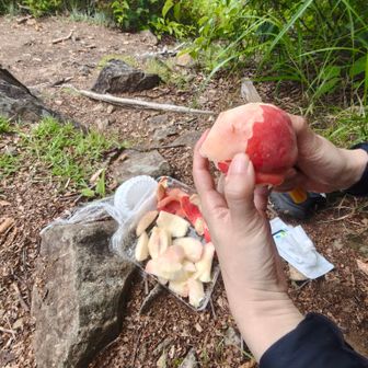 昨日、道の駅で買ってきた🍑
甘くて瑞々しくて、山で生の果物を食べられるって幸せ😋
