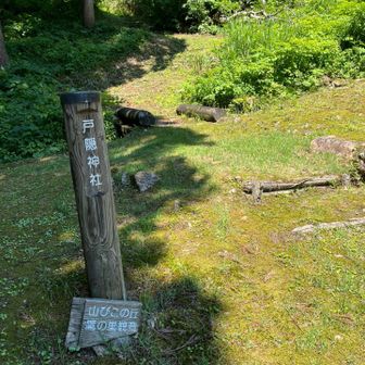 神社の後ろにやまびこの丘、鷹の巣観音看板。
気になって登ってみだけど、観音様はみつからず、登った正面にやまびこが帰って来そうな山⛰️がそびえてました。