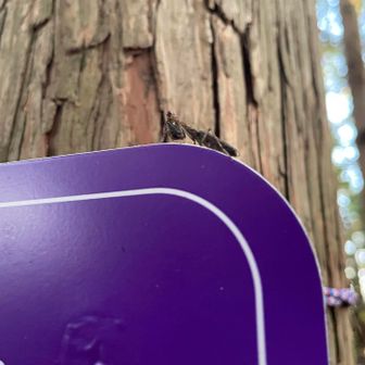 頑張って冬を越してねー