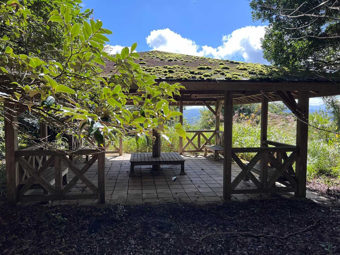 展望台まで着きました
少し休憩の後、山頂に向かいます