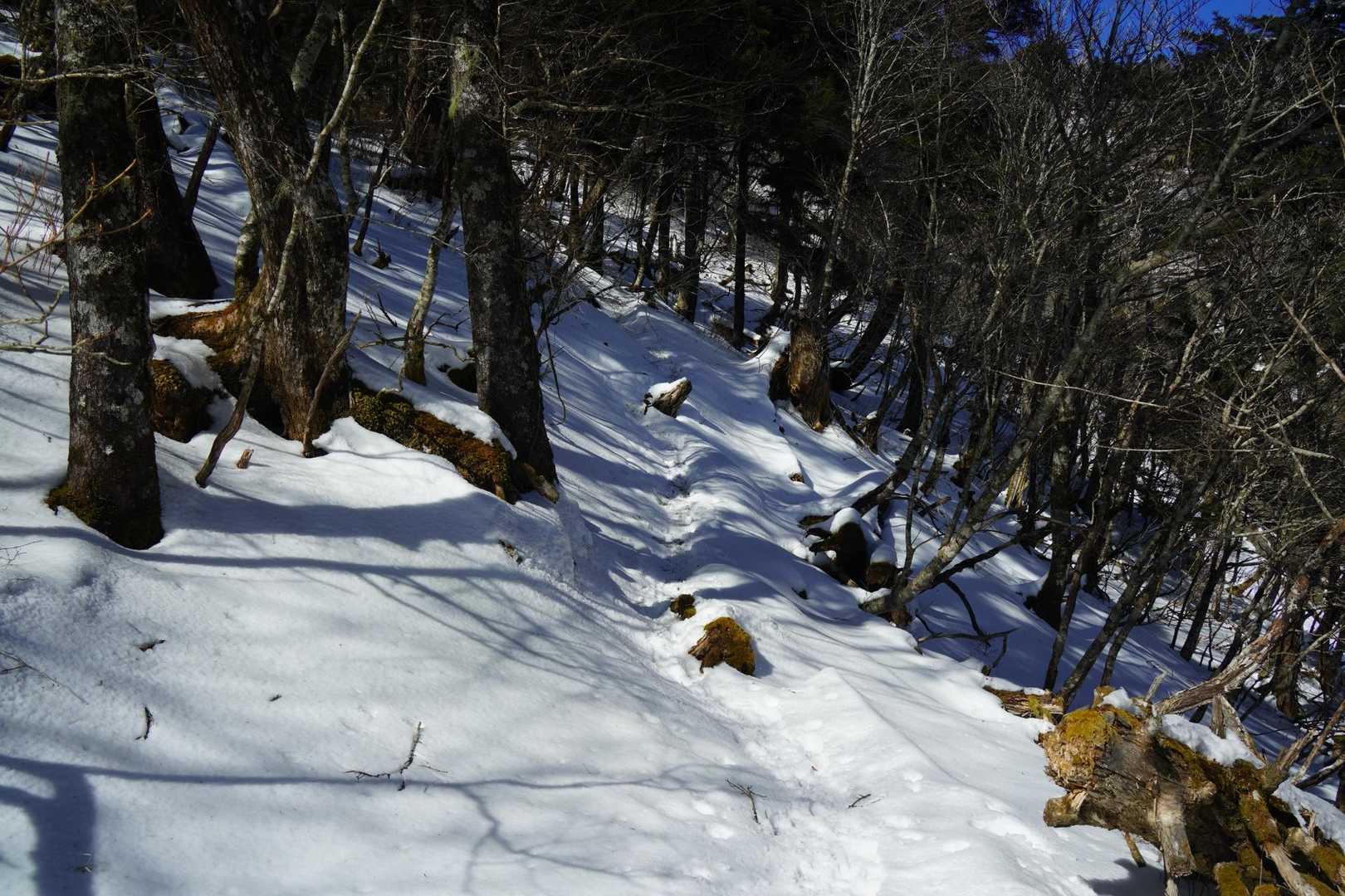 雪〜
雪無くなる〜
雪〜
雪無くなる〜