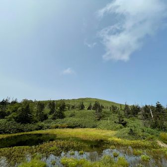 何枚も撮っちゃうよね〜