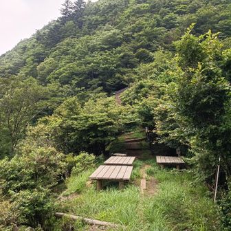 犬越路着！木々が茂ってる
