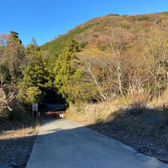 宇利峠
やっと着いた！