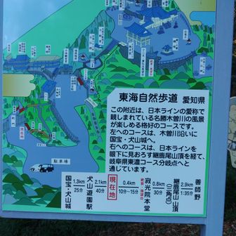 最後の継鹿尾山は🍁寂光院から上ります