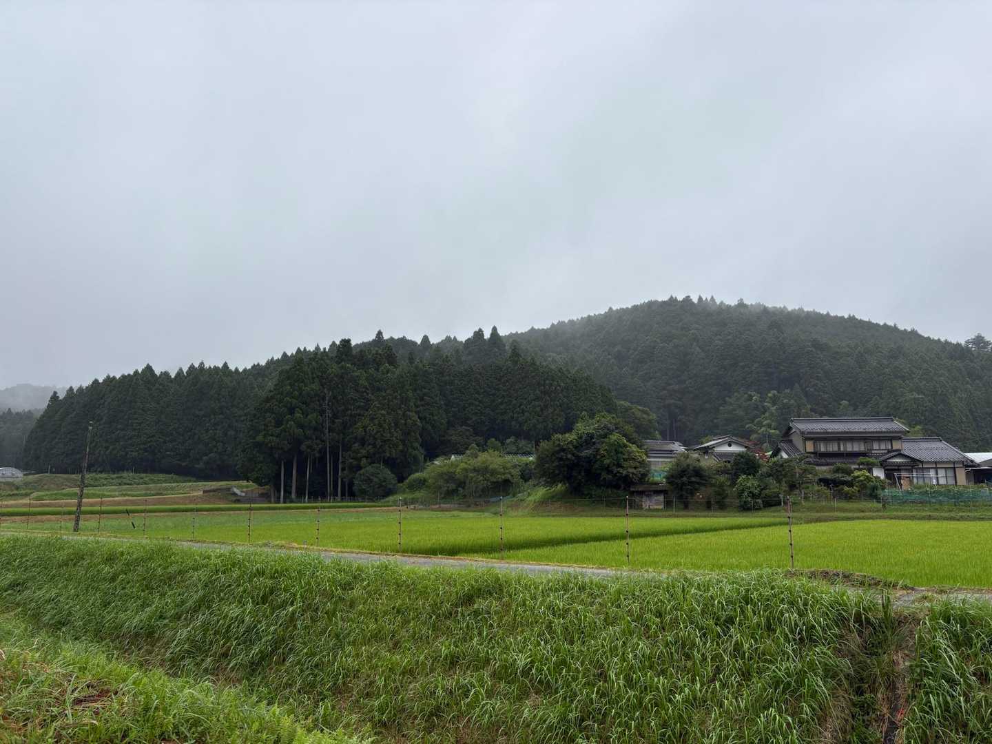 のどかぁ〜