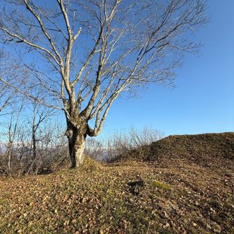 春には白い子を楽しみにしてます◎
