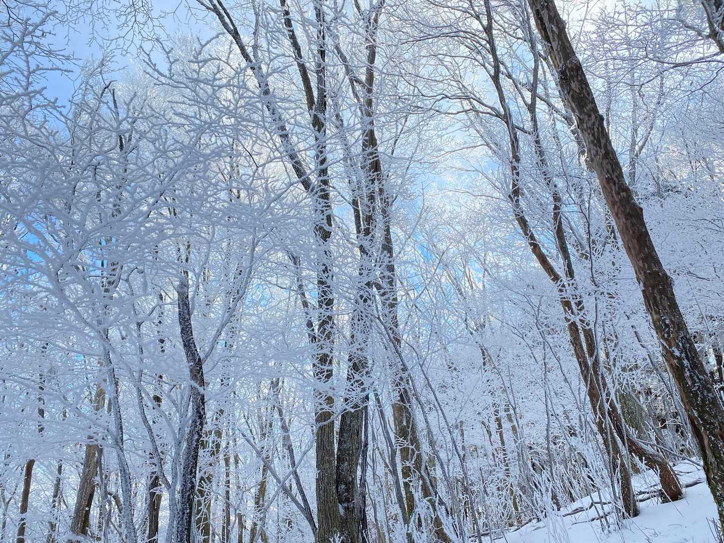 雪が増えてきた