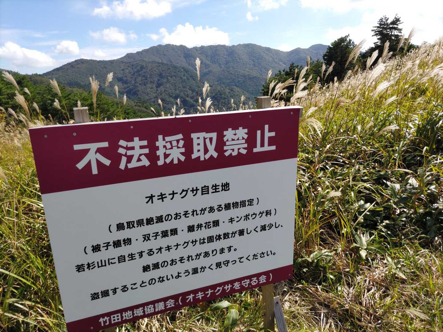 若杉山 往復コースの写真