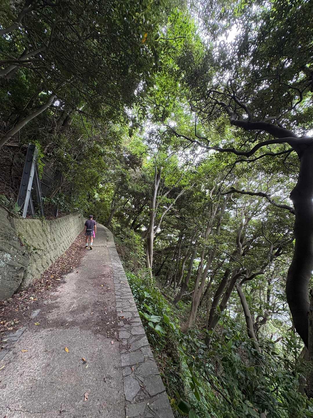 はじめは舗装路
この先は落ち葉で路面がおおわれているところも🍂ｽﾍﾞﾘﾔｽｲ