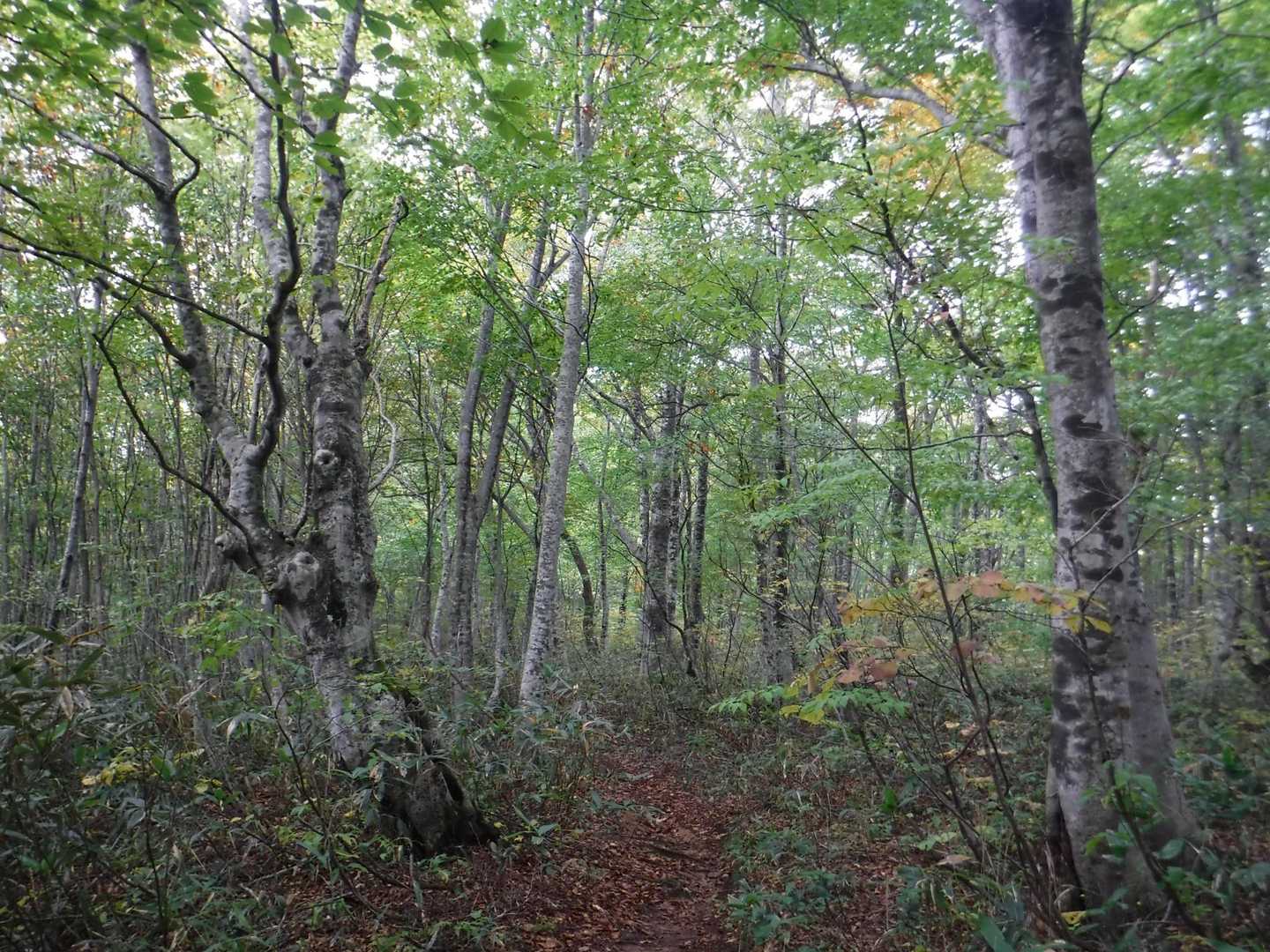 緑ゾーン🌱
明け方に雨が降ったので、滑ります🤸⚠️