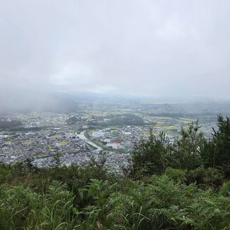 先ずは大城山 (おおじょうやま)山頂に
トウチャコ🧑‍🦯
ご覧のように深い霧と雲に覆われて
伊那谷(伊那盆地)は、辰野町周辺が見えるだけですね🫡
