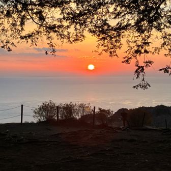 ここからが日の出ポイントとしてはいいと思います