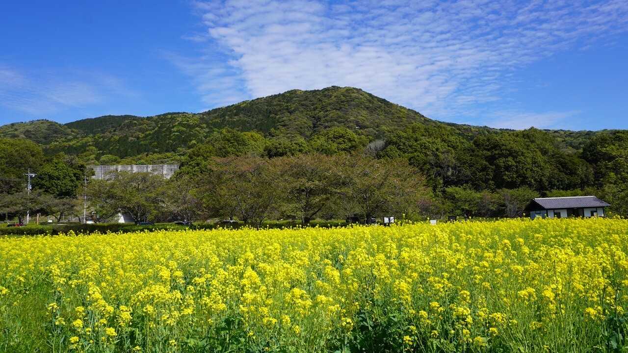 金立山の写真