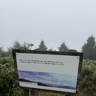 ここから瀬戸内海が見える？👀
