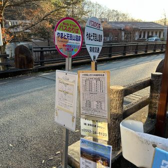 目的地のやまと天目山温泉に到着！
バスの時間まで30分しかない。その後は2時間半後。悩む〜‼️