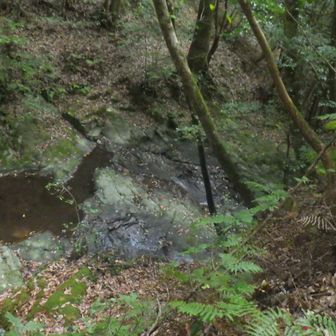 滝を見下ろす。落ちたらタヒぬ。