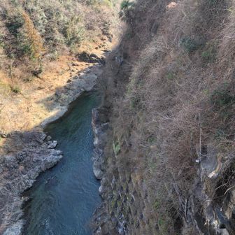 桂川　高月橋歩道橋を渡る😵‍💫