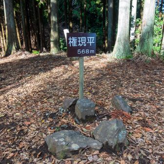 権現平の三等三角点（永峰・568.6m）
この日の行程の最高地点