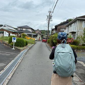 本日の山友さん