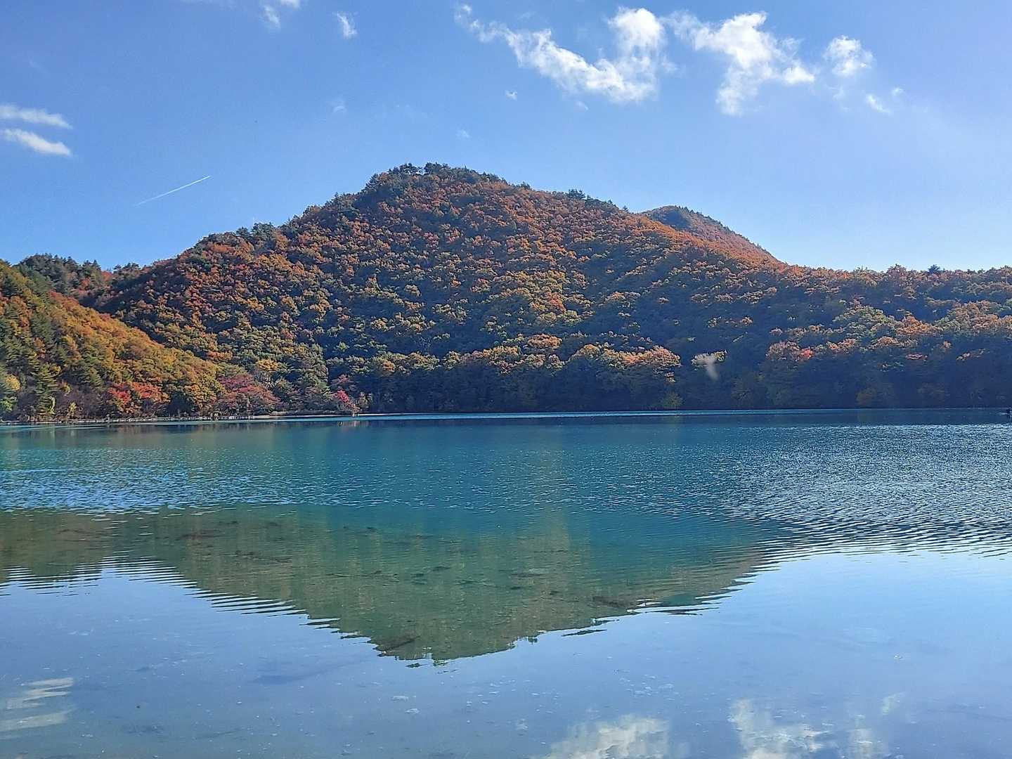 こんな景観を見ながら山を歩けるようになって最高ですねぇ❣　永らく登山道を整備して下さった方々に感謝致します🙏　

連日の🍁紅葉を追いかけてのちょい歩き😅　たいして歩いてもいないのにお付き合いいただいてすみません…　今日もありがとうございまーす💕