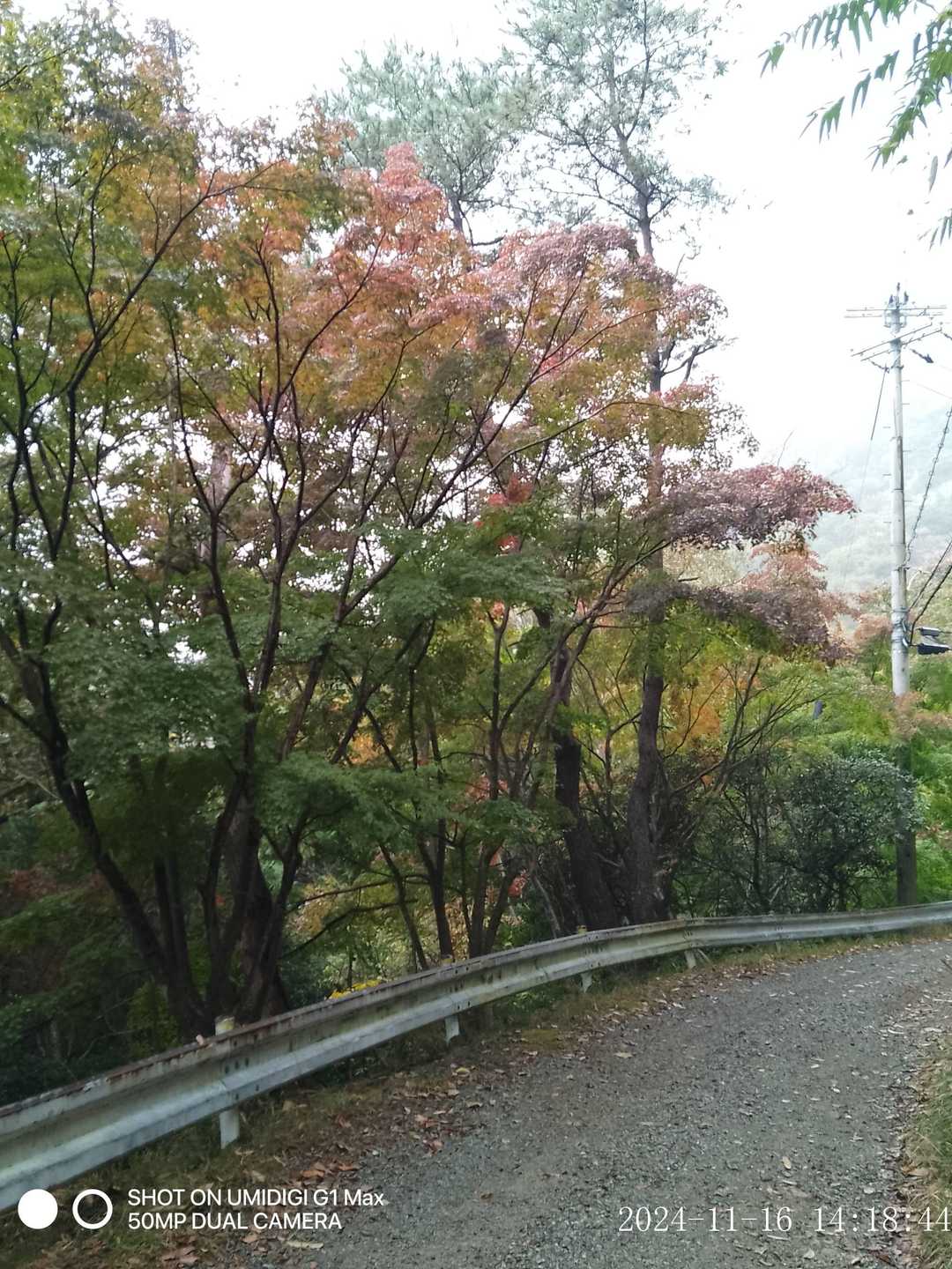 良い感じの色のとこもありました