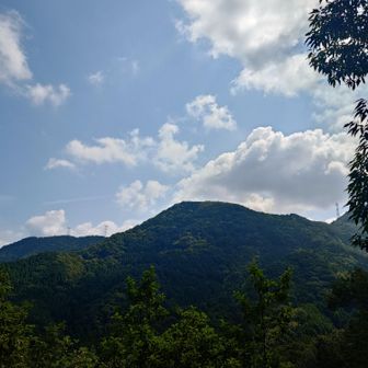 ☀