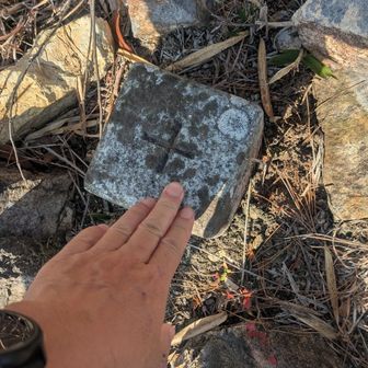 三角点にタッチ