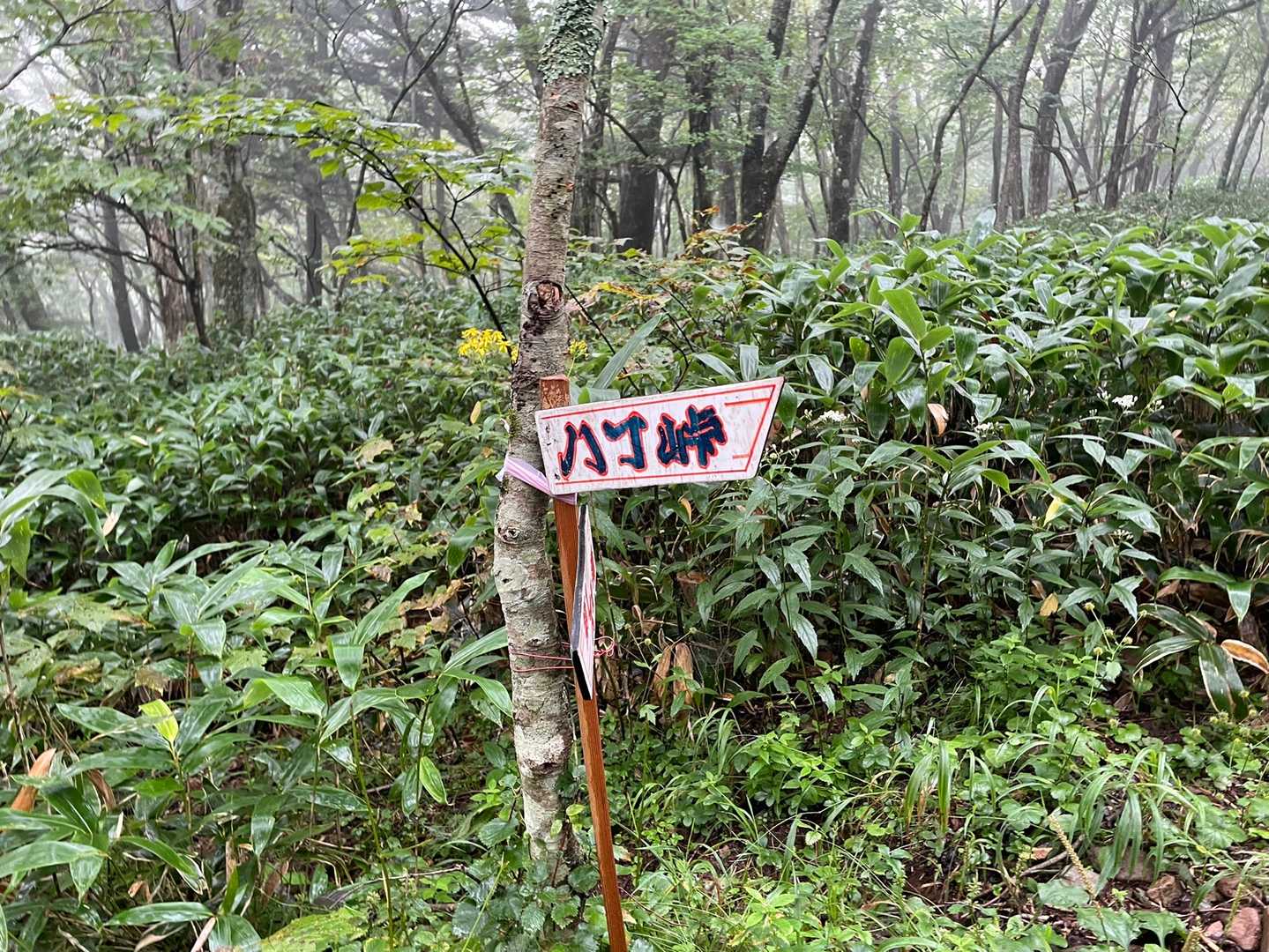 まずは八丁峠を目指す